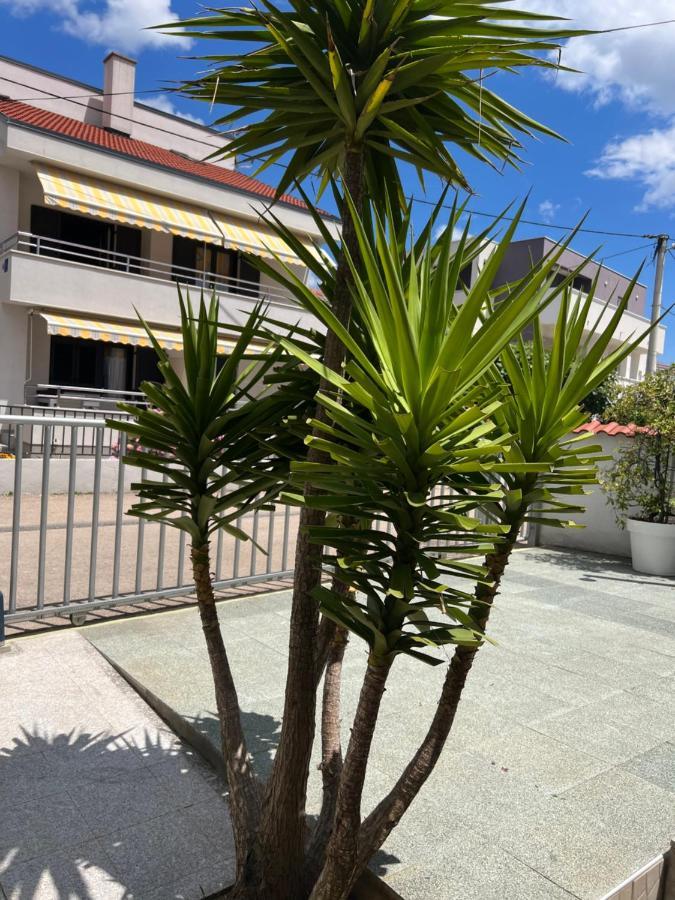 Apartments Lili Flora Zadar Dış mekan fotoğraf